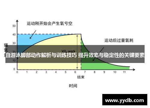 自游泳脚部动作解析与训练技巧 提升效率与稳定性的关键要素